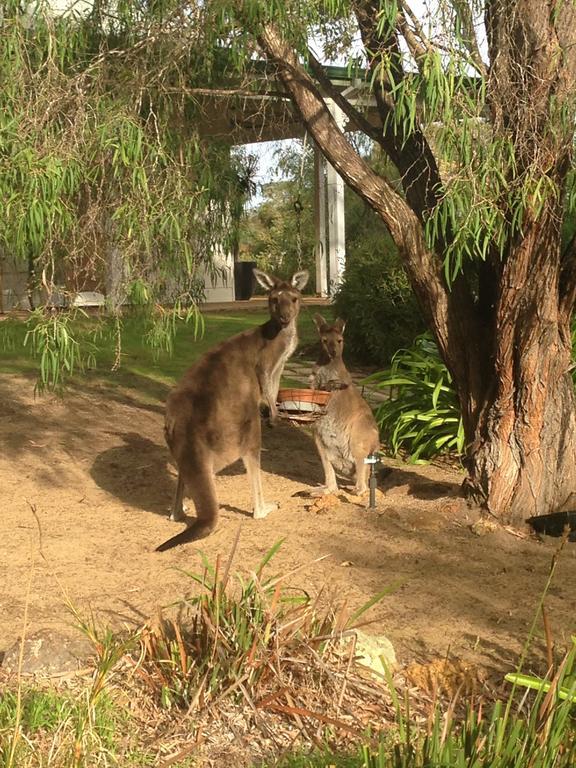 Llewellin'S Guest House Margaret River Luaran gambar